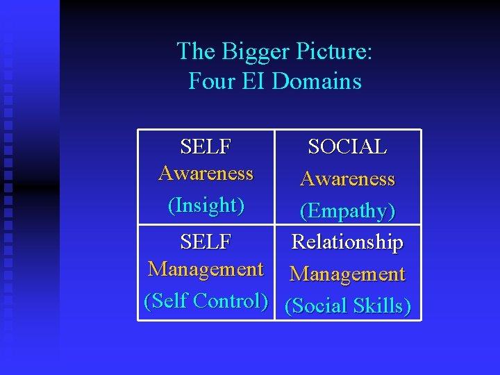 The Bigger Picture: Four EI Domains SELF Awareness (Insight) SOCIAL Awareness (Empathy) SELF Relationship