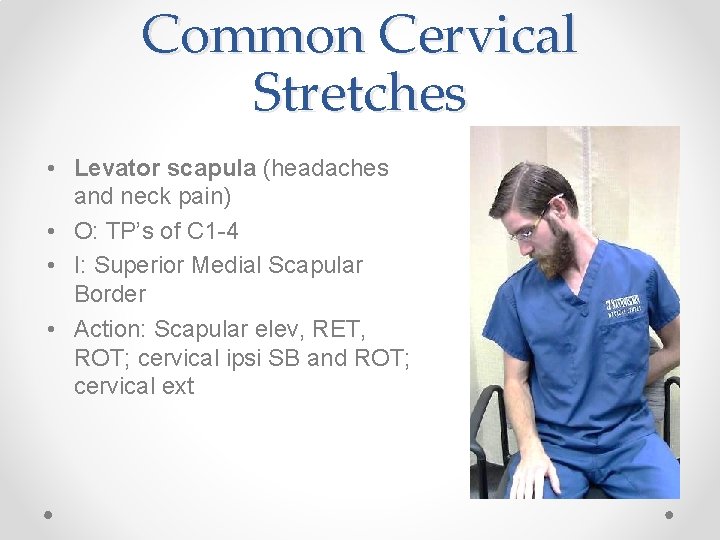 Common Cervical Stretches • Levator scapula (headaches and neck pain) • O: TP’s of Common Cervical Stretches • Levator scapula (headaches and neck pain) • O: TP’s of