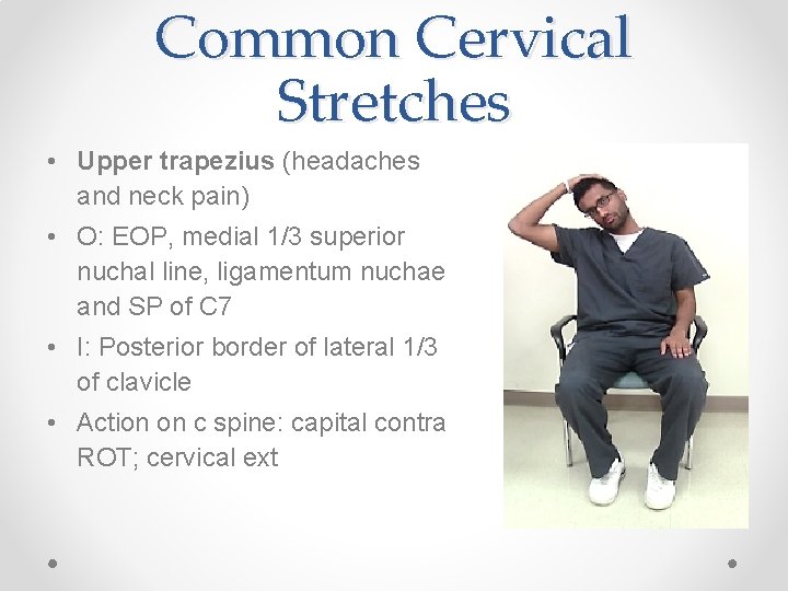 Common Cervical Stretches • Upper trapezius (headaches and neck pain) • O: EOP, medial Common Cervical Stretches • Upper trapezius (headaches and neck pain) • O: EOP, medial