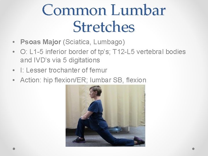 Common Lumbar Stretches • Psoas Major (Sciatica, Lumbago) • O: L 1 -5 inferior Common Lumbar Stretches • Psoas Major (Sciatica, Lumbago) • O: L 1 -5 inferior
