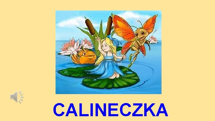 CALINECZKA 