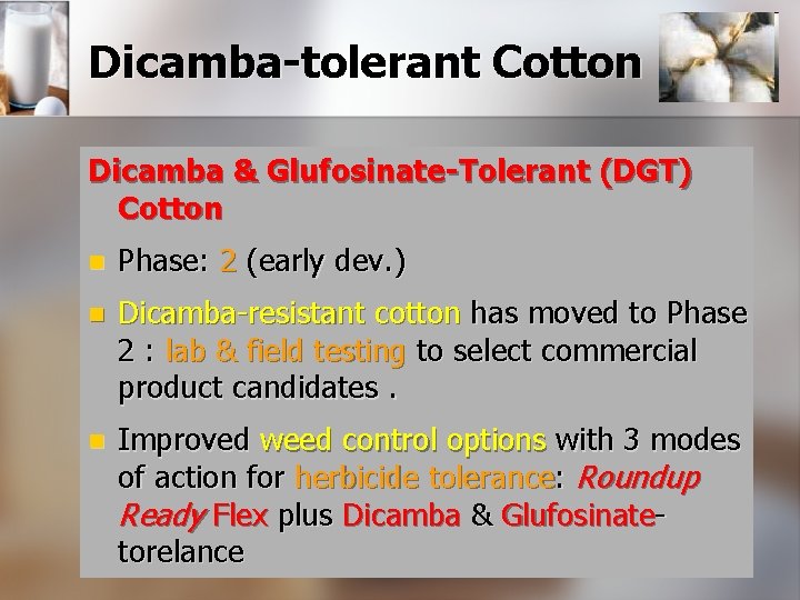 Dicamba-tolerant Cotton Dicamba & Glufosinate-Tolerant (DGT) Cotton n Phase: 2 (early dev. ) n