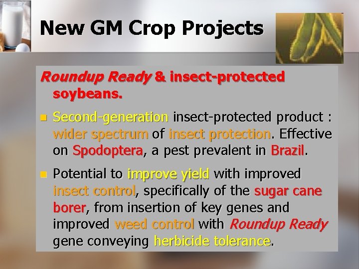 New GM Crop Projects Roundup Ready & insect-protected soybeans. n Second-generation insect-protected product :