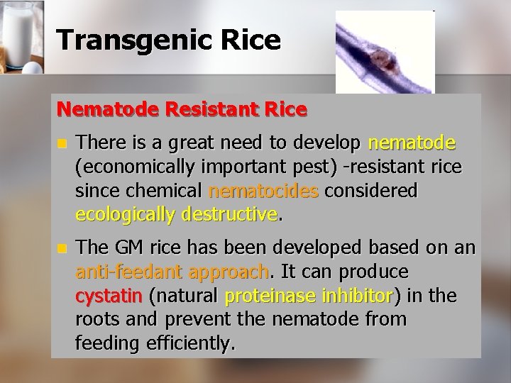 Transgenic Rice Nematode Resistant Rice n There is a great need to develop nematode