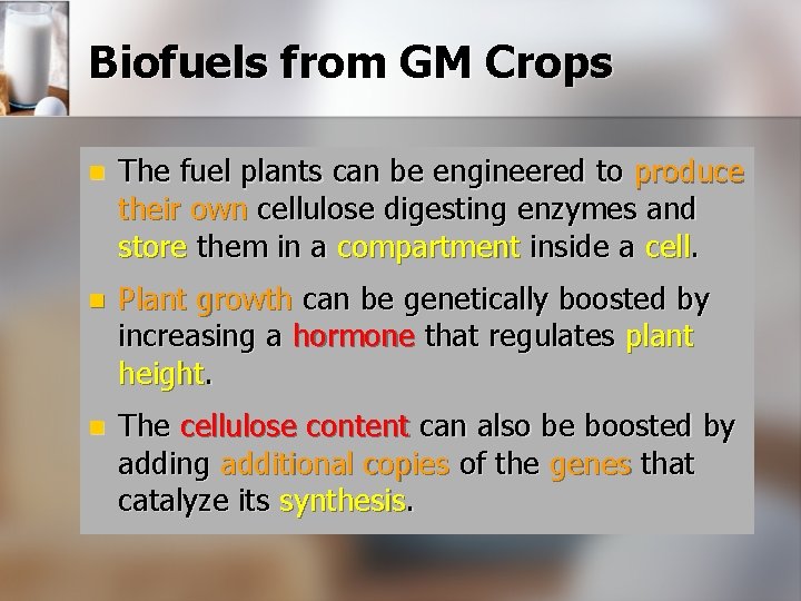 Biofuels from GM Crops n The fuel plants can be engineered to produce their