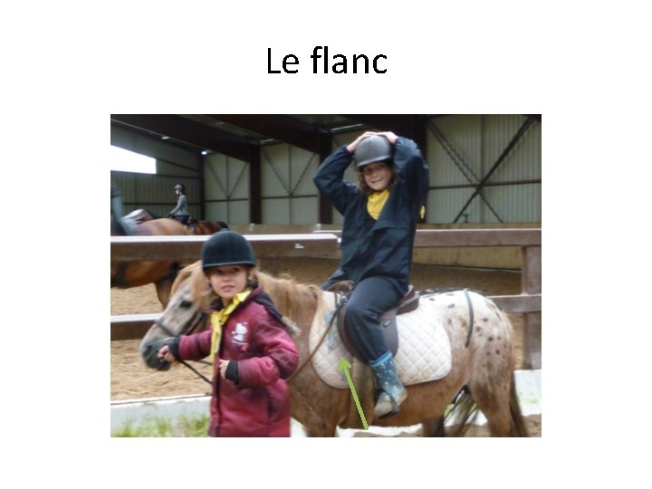 Le flanc 