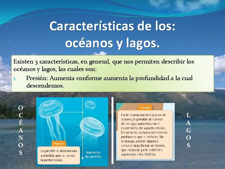 Características de los: océanos y lagos. Existen 3 características, en general, que nos permiten