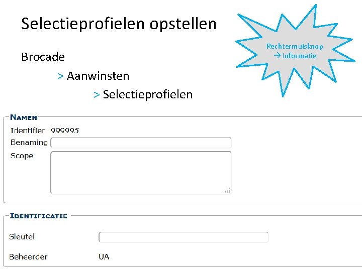 Selectieprofielen opstellen Brocade > Aanwinsten > Selectieprofielen Rechtermuisknop Informatie 