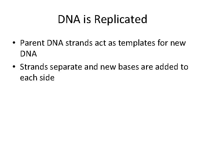 DNA is Replicated • Parent DNA strands act as templates for new DNA •