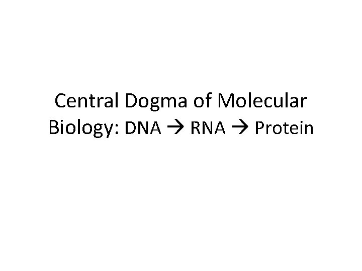 Central Dogma of Molecular Biology: DNA RNA Protein 