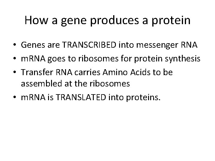 How a gene produces a protein • Genes are TRANSCRIBED into messenger RNA •