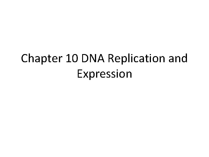 Chapter 10 DNA Replication and Expression 