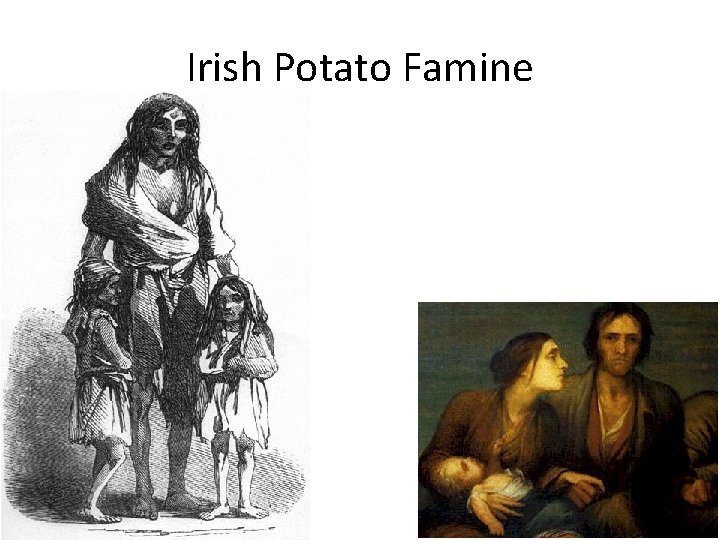 Irish Potato Famine 