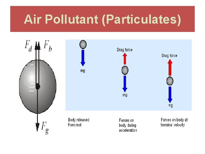 Air Pollutant (Particulates) 