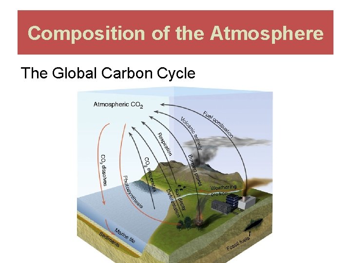 Composition of the Atmosphere The Global Carbon Cycle 