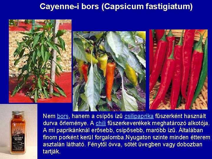 Cayenne-i bors (Capsicum fastigiatum) Nem bors, hanem a csípős ízű csilipaprika fűszerként használt durva