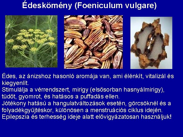Édeskömény (Foeniculum vulgare) Édes, az ánizshoz hasonló aromája van, ami élénkít, vitalizál és kiegyenlít.