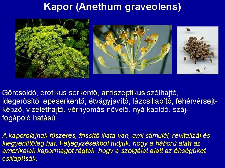 Kapor (Anethum graveolens) Görcsoldó, erotikus serkentő, antiszeptikus szélhajtó, idegerősítő, epeserkentő, étvágyjavító, lázcsillapító, fehérvérsejt- képző,