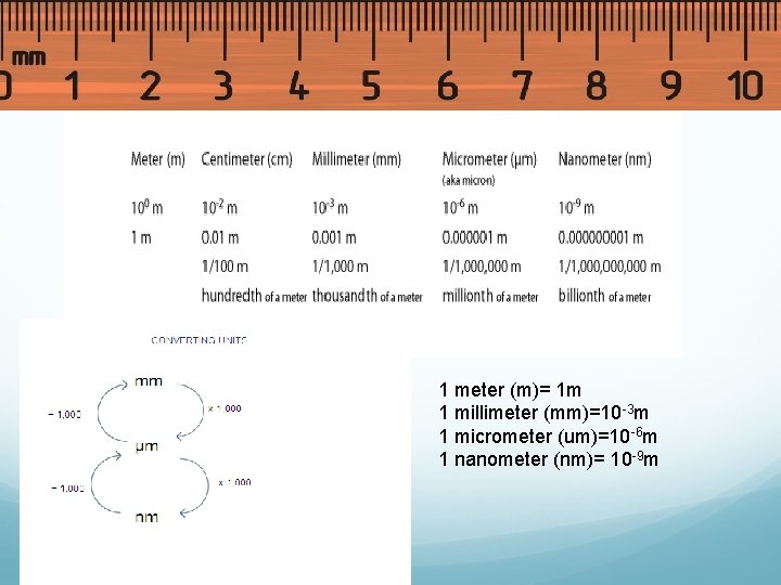 1 meter (m)= 1 m 1 millimeter (mm)=10 -3 m 1 micrometer (um)=10 -6