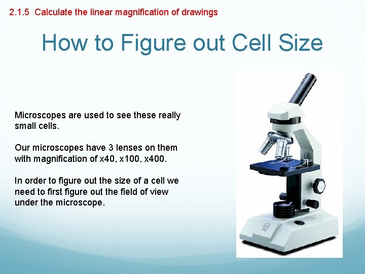 2. 1. 5 Calculate the linear magnification of drawings How to Figure out Cell