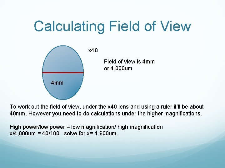 Calculating Field of View x 40 Field of view is 4 mm or 4,