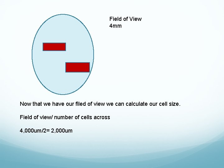 Field of View 4 mm Now that we have our filed of view we