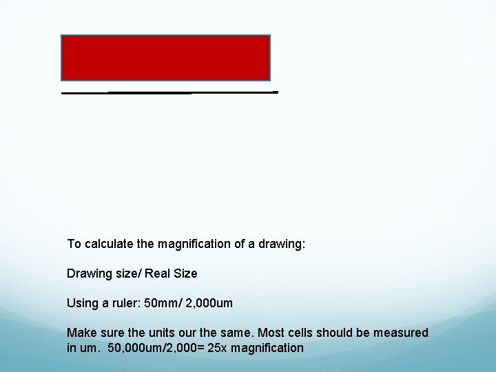 To calculate the magnification of a drawing: Drawing size/ Real Size Using a ruler: