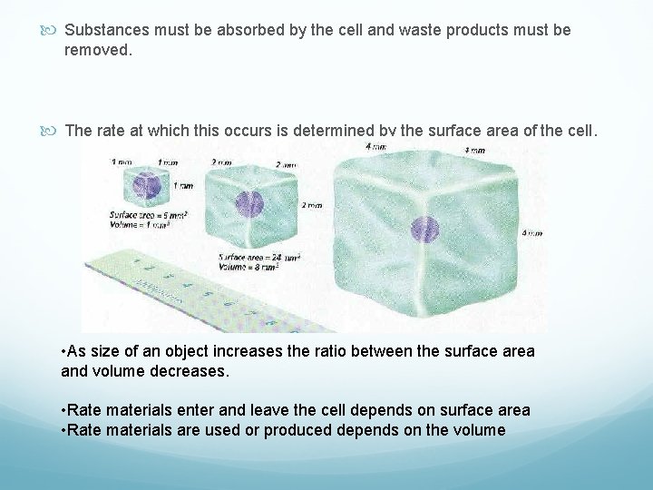  Substances must be absorbed by the cell and waste products must be removed.