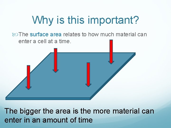 Why is this important? The surface area relates to how much material can enter