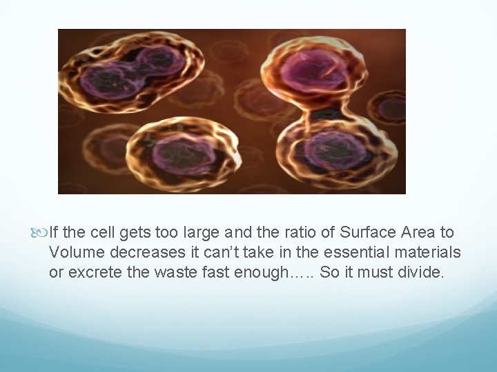  If the cell gets too large and the ratio of Surface Area to