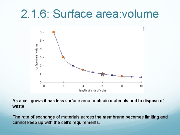 2. 1. 6: Surface area: volume As a cell grows it has less surface