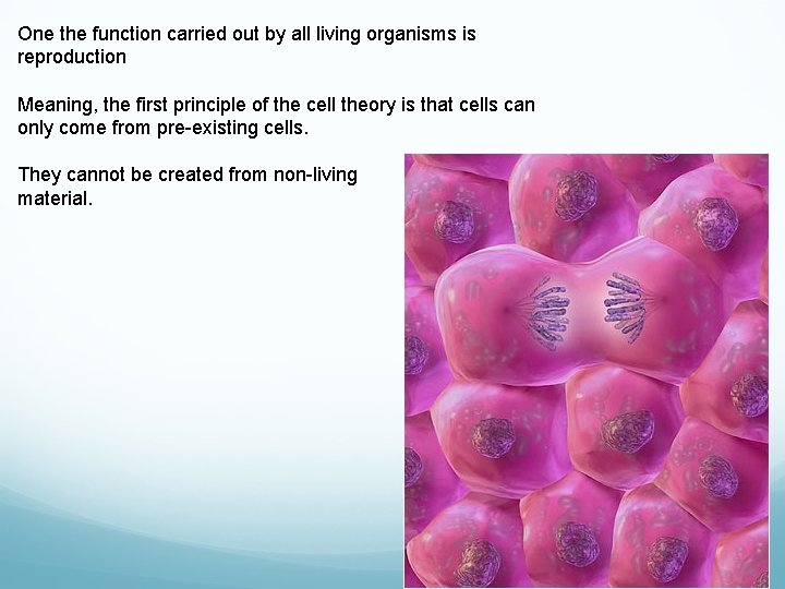 One the function carried out by all living organisms is reproduction Meaning, the first