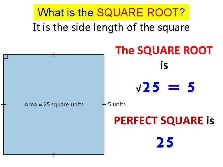 What is the SQUARE ROOT? It is the side length of the square The