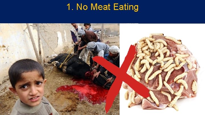 1. No Meat Eating 19 
