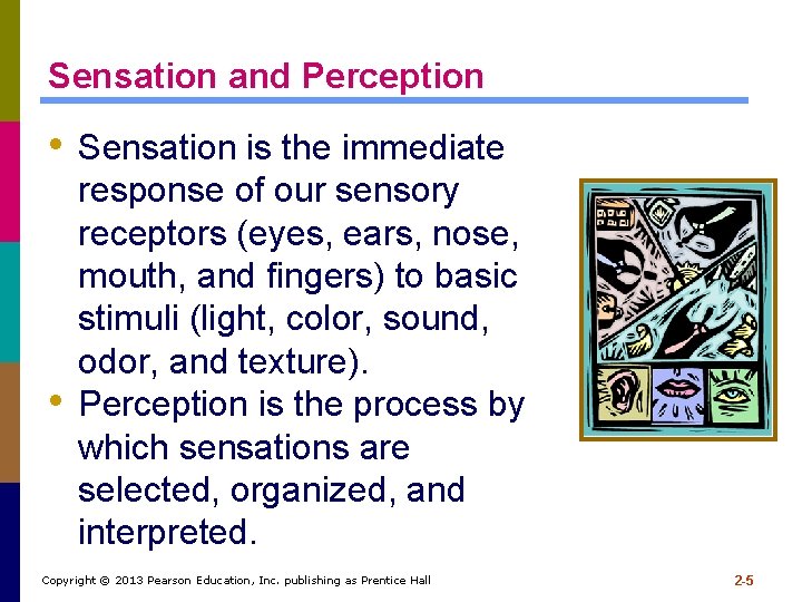 Sensation and Perception • Sensation is the immediate • response of our sensory receptors