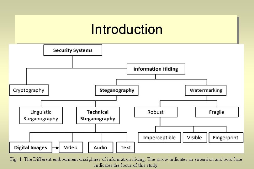 Introduction Fig. 1. The Different embodiment disciplines of information hiding. The arrow indicates an