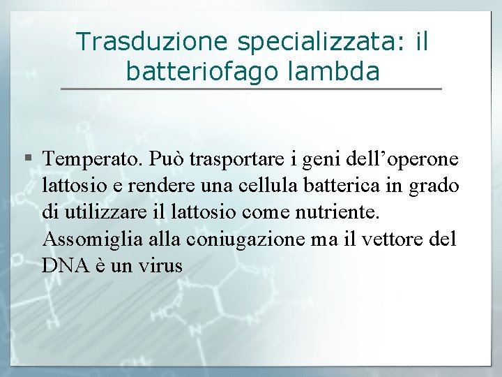 Trasduzione specializzata: il batteriofago lambda § Temperato. Può trasportare i geni dell’operone lattosio e