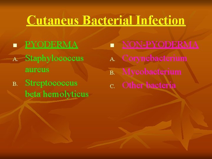 Cutaneus Bacterial Infection n A. B. PYODERMA Staphylococcus aureus Streptococcus beta hemolyticus n A.