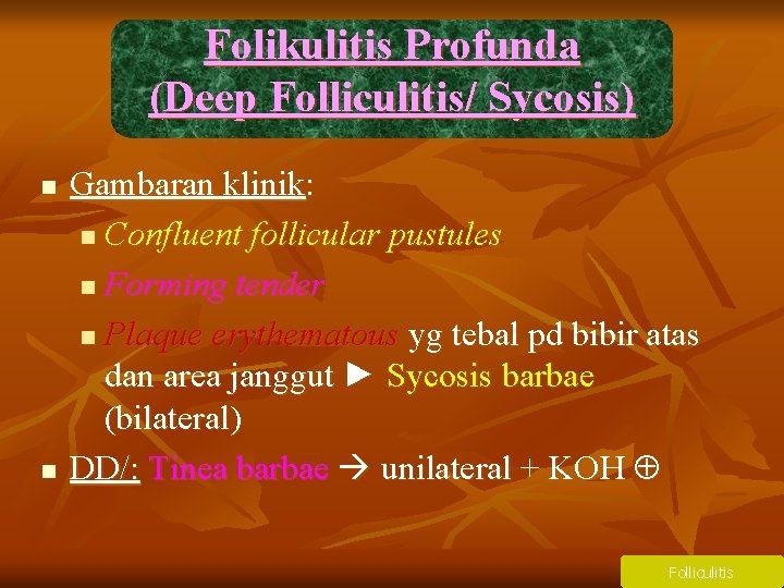 Folikulitis Profunda (Deep Folliculitis/ Sycosis) n n Gambaran klinik: n Confluent follicular pustules n