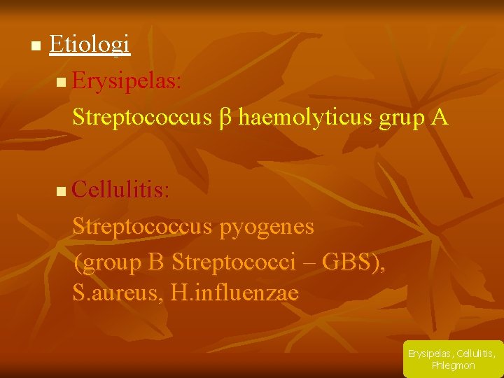 n Etiologi n Erysipelas: Streptococcus β haemolyticus grup A n Cellulitis: Streptococcus pyogenes (group