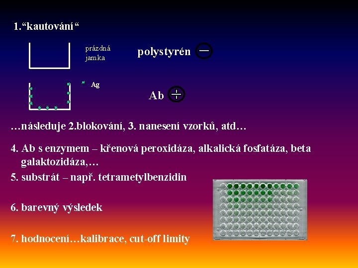 1. “kautování“ prázdná jamka polystyrén Ag Ab …následuje 2. blokování, 3. nanesení vzorků, atd…