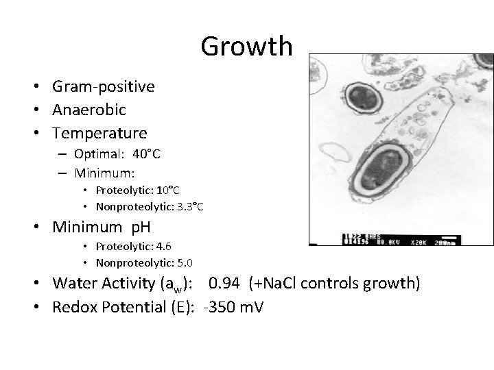 Growth • Gram-positive • Anaerobic • Temperature – Optimal: 40°C – Minimum: • Proteolytic: