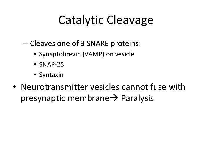 Catalytic Cleavage – Cleaves one of 3 SNARE proteins: • Synaptobrevin (VAMP) on vesicle