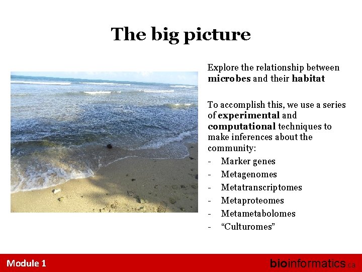 The big picture Explore the relationship between microbes and their habitat To accomplish this,