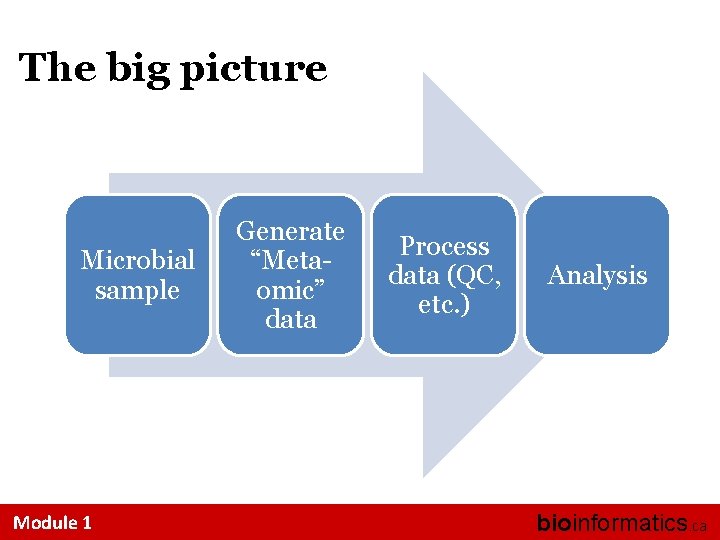 The big picture Microbial sample Module 1 Generate “Metaomic” data Process data (QC, etc.