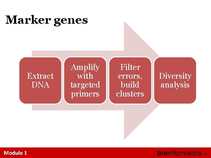 Marker genes Extract DNA Module 1 Amplify with targeted primers Filter errors, build clusters