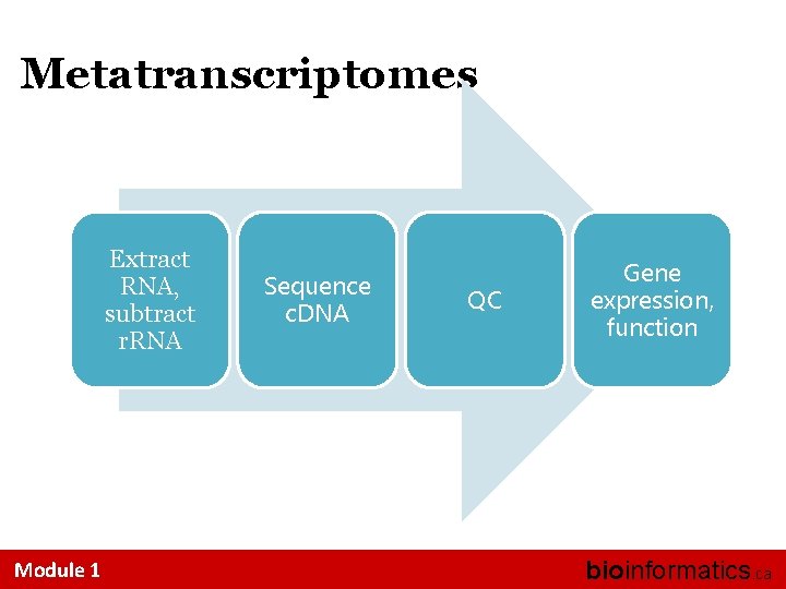 Metatranscriptomes Extract RNA, subtract r. RNA Module 1 Sequence c. DNA QC Gene expression,