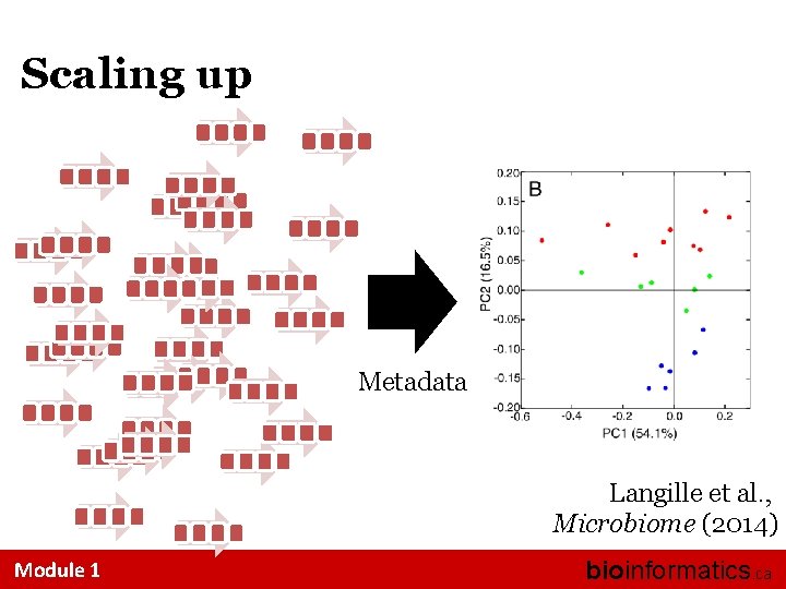 Scaling up Metadata Langille et al. , Microbiome (2014) Module 1 bioinformatics. ca 