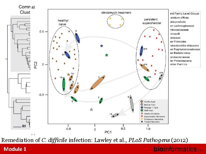 Remediation of C. difficile infection: Lawley et al. , PLo. S Pathogens (2012) Module