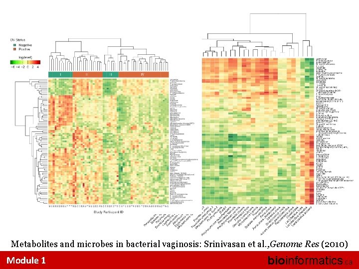 Metabolites and microbes in bacterial vaginosis: Srinivasan et al. , Genome Res (2010) Module